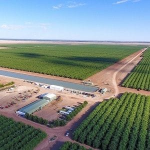 Bonitas claims EY report "backfired" against Rural Funds Bonitas claims EY report "backfired" against Rural Funds